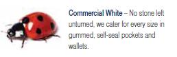 Commercial White Envelopes