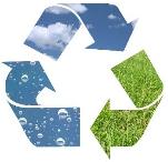 Environmental Policy